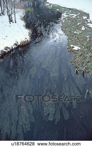 Stock Photo - Stream Near Snow. Fotosearch