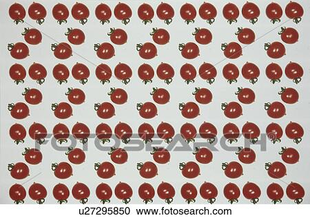 Stock Image - The Sheet Of A Cherry Tomato. Fotosearch