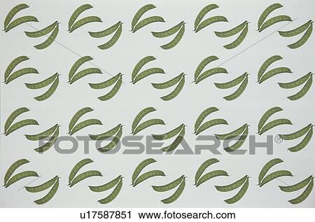 The Sheet Of A Pea View Large Photo Image Stock Image - The Sheet Of A Pea. Fotosearch