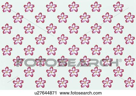The Sheet Of A Pink Flower View Large Photo Image Stock Image - The Sheet Of A Pink Flower. Fotosearch