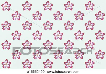Stock Photo - The Sheet Of A Pink Flower. Fotosearch