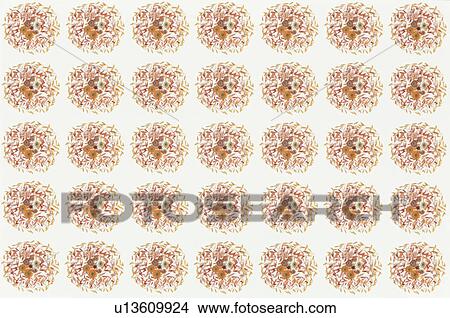 The Sheet Of A Red Bouquet View Large Photo Image Picture - The Sheet Of A Red Bouquet. Fotosearch