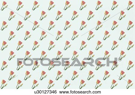 Stock Photograph - The Sheet Of A Red Tulip. Fotosearch