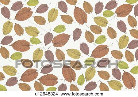The Sheet Of Autumn Leaves View Large Photo Image Picture - The Sheet Of Autumn Leaves. Fotosearch