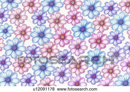 Stock Photo - The Sheet Of Cosmos. Fotosearch