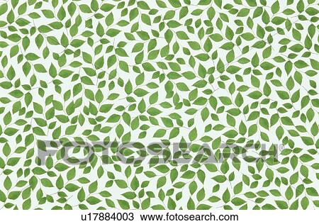 The Sheet Of Green Leaves View Large Photo Image Stock Image - The Sheet Of Green Leaves. Fotosearch