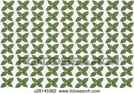 Stock Image - The Sheet Of Green Leaves. Fotosearch