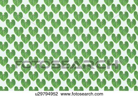 The Sheet Of Green Leaves View Large Photo Image Stock Image - The Sheet Of Green Leaves. Fotosearch