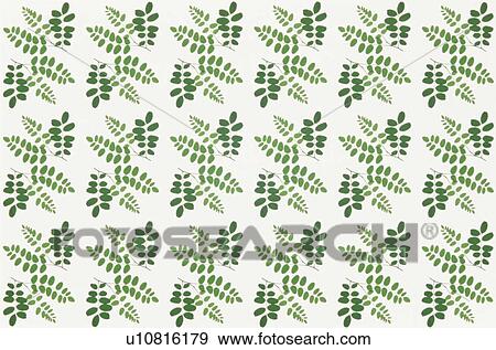 Stock Photo - The Sheet Of Green Leaves. Fotosearch