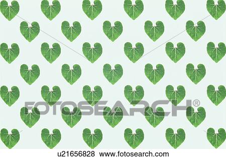 Stock Photo - The Sheet Of Green Leaves. Fotosearch