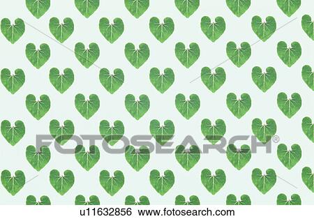 The Sheet Of Green Leaves View Large Photo Image Stock Photograph - The Sheet Of Green Leaves. Fotosearch