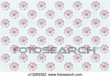Stock Image - The Sheet Of Pink Cosmos. Fotosearch