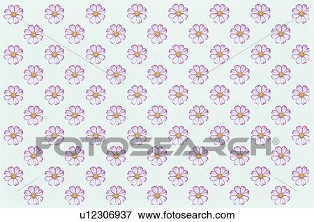 The Sheet Of Pink Cosmos View Large Photo Image Stock Photo - The Sheet Of Pink Cosmos. Fotosearch