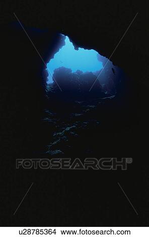 Picture - The Underwater Cave With The Dolphin Shape. Fotosearch