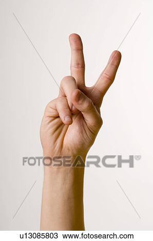 male, gesture, LANGUAGE, juha, hand, anatomy View Large Photo Image Stock Image - male, gesture, LANGUAGE, juha, hand, anatomy. Fotosearch