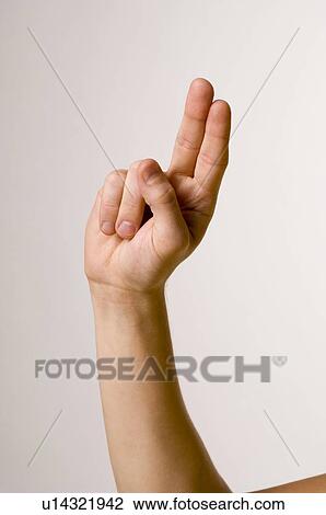 male, gesture, LANGUAGE, juha, hand, anatomy View Large Photo Image Stock Image - male, gesture, LANGUAGE, juha, hand, anatomy. Fotosearch