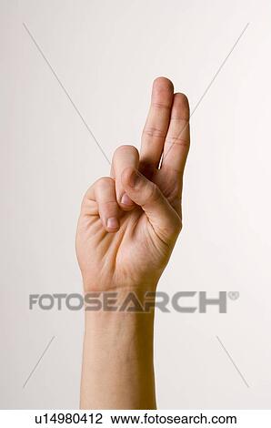 male, gesture, LANGUAGE, juha, hand, anatomy View Large Photo Image Stock Image - male, gesture, LANGUAGE, juha, hand, anatomy. Fotosearch