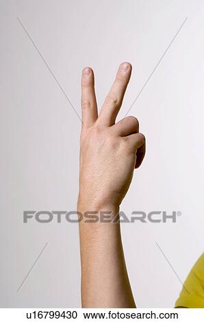 male, gesture, LANGUAGE, juha, hand, anatomy View Large Photo Image Stock Image - male, gesture, LANGUAGE, juha, hand, anatomy. Fotosearch