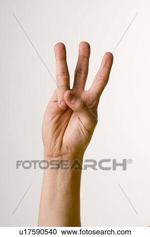 Stock Image - male, gesture, LANGUAGE, juha, hand, anatomy. Fotosearch