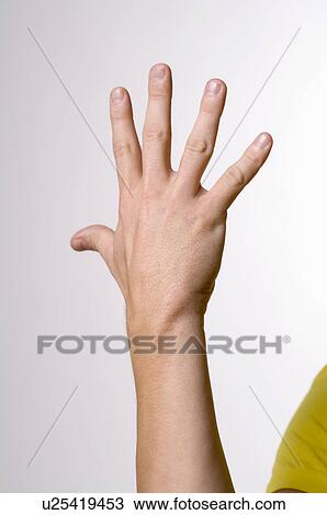 Stock Image - male, gesture, LANGUAGE, juha, hand, anatomy. Fotosearch