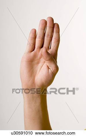 male, gesture, LANGUAGE, juha, hand, anatomy View Large Photo Image Stock Image - male, gesture, LANGUAGE, juha, hand, anatomy. Fotosearch