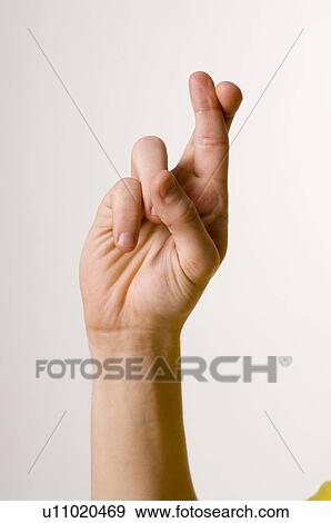 male, gesture, LANGUAGE, juha, hand, anatomy View Large Photo Image Stock Photo - male, gesture, LANGUAGE, juha, hand, anatomy. Fotosearch