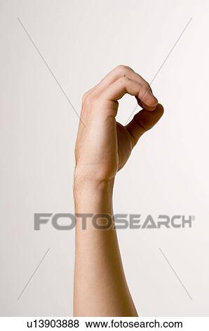 male, gesture, LANGUAGE, juha, hand, anatomy View Large Photo Image Stock Photo - male, gesture, LANGUAGE, juha, hand, anatomy. Fotosearch