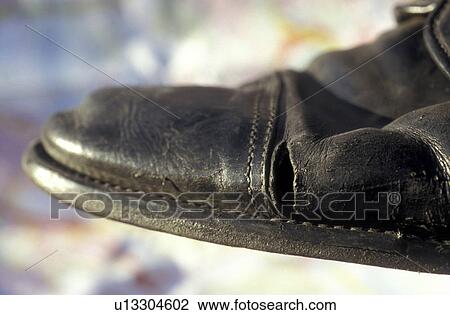 Bernhard, black, broken, CLOSE, close-up, cow View Large Photo Image Stock Image - Bernhard, black, broken, CLOSE, close-up, cow. Fotosearch