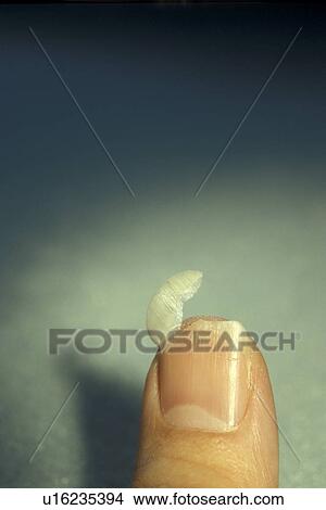 Picture - Bernhard, business, broken, adults. Fotosearch