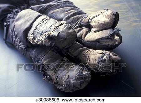 Stock Photograph - Bernhard, CLOSE, career, broken, avocation. Fotosearch