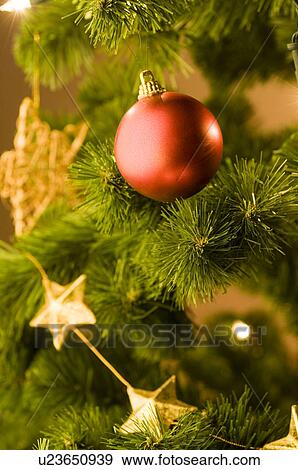Christmas, Christmas ornament, Christmas ornaments, decoration, decorations, holiday, ornament View Large Photo Image Stock Photo - Christmas, Christmas ornament, Christmas ornaments, decoration, decorations, holiday, ornament. Fotosearch