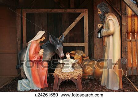 Stock Image - asinus, brown, Austria, alfred. Fotosearch