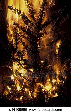Stock Photograph - beacon, Bernhard, black, blaze, burn, Christianity. Fotosearch