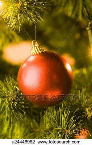 Christmas, Christmas ornament, Christmas ornaments, decoration, decorations, holiday, ornament View Large Photo Image Stock Image - Christmas, Christmas ornament, Christmas ornaments, decoration, decorations, holiday, ornament. Fotosearch