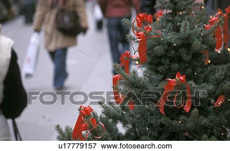 Stock Photo - stephansplatz, advent, austria, calf, christmas, Christmas, christmas tree. Fotosearch
