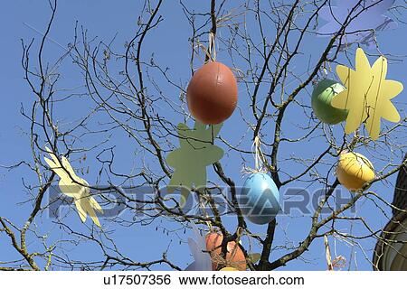 Stock Photograph - baumast, berne, blue, branches, branches of tree, burgdorf. Fotosearch