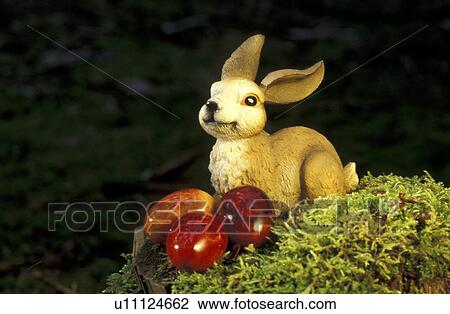 bunny, close-up, CLOSE, aichner View Large Photo Image Stock Image - bunny, close-up, CLOSE, aichner. Fotosearch
