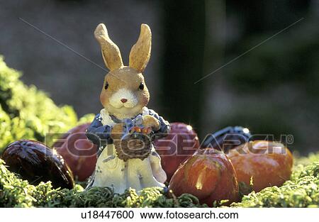 Stock Image - bunny, day, close-up, CLOSE, aichner. Fotosearch