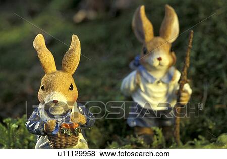 Stock Photo - bunny, day, close-up, CLOSE, aichner. Fotosearch