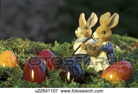 Stock Photo - bunny, day, close-up, CLOSE, aichner. Fotosearch