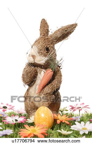 Picture - carrot, bloom, bunny, brown, blossom, abloom. Fotosearch