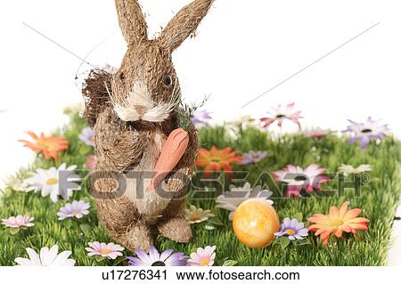 Stock Image - carrot, bloom, bunny, brown, blossom, abloom. Fotosearch