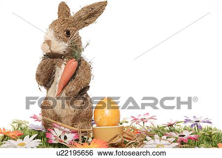 Stock Photograph - carrot, bloom, bunny, brown, blossom, abloom. Fotosearch