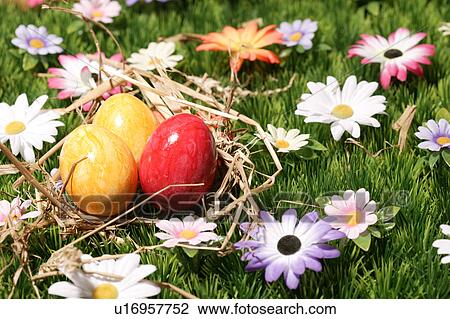 Stock Image - close-up, birds-nest, CLOSE, blossom, bloom, abloom. Fotosearch