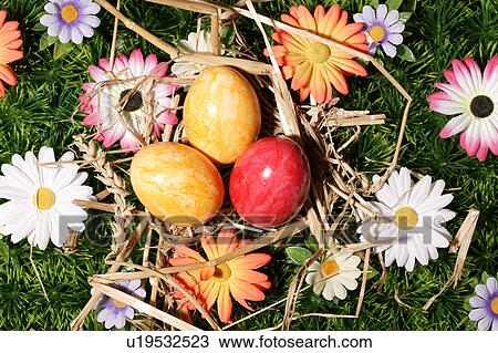 Stock Image - close-up, birds-nest, CLOSE, blossom, bloom, abloom. Fotosearch