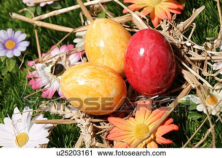 Stock Image - close-up, birds-nest, CLOSE, blossom, bloom, abloom. Fotosearch