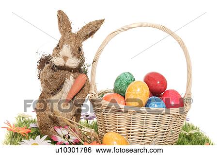 Stock Photograph - close-up, birds-nest, CLOSE, blossom, bloom, abloom. Fotosearch