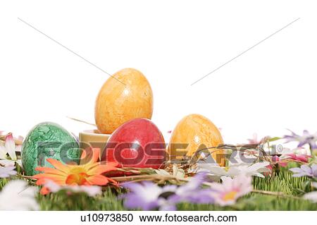 cup, bloom, close-up, CLOSE, blossom, abloom View Large Photo Image Stock Image - cup, bloom, close-up, CLOSE, blossom, abloom. Fotosearch