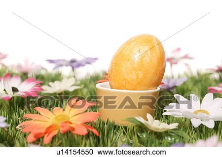 Stock Image - cup, bloom, close-up, CLOSE, blossom, abloom. Fotosearch