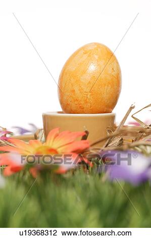 Stock Image - cup, bloom, close-up, CLOSE, blossom, abloom. Fotosearch